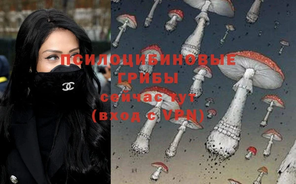 амфетамин Лабытнанги
