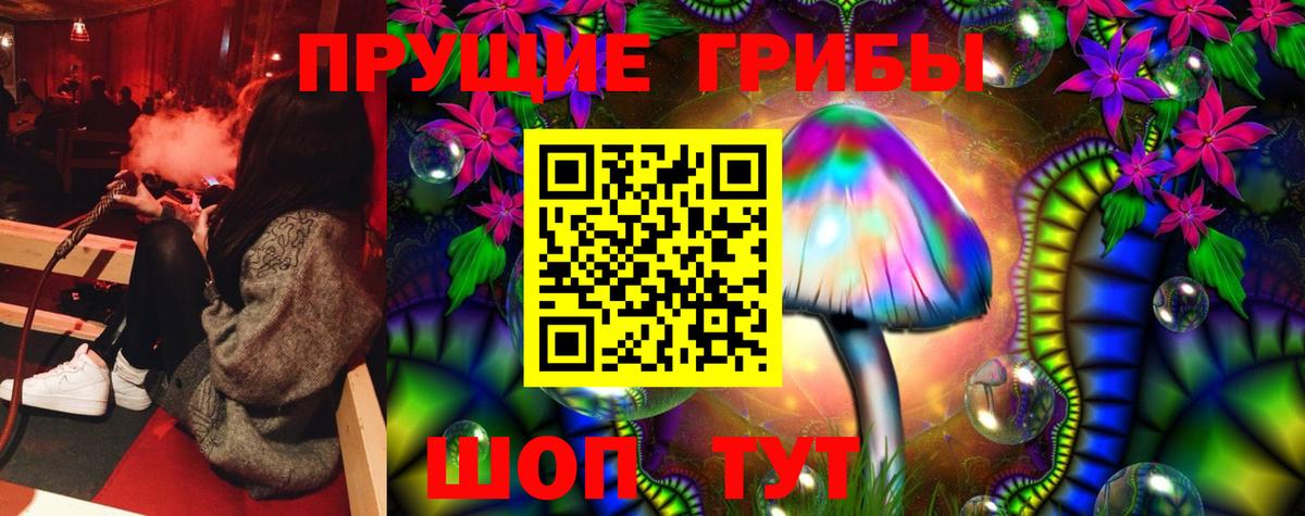 Псилоцибиновые грибы Psilocybe  Борисоглебск 