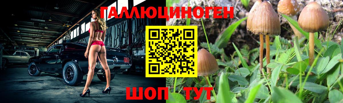 Галлюциногенные грибы Psilocybine cubensis Борисоглебск